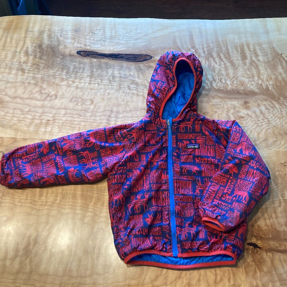 Kids lightweight Patagonia coat